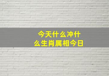 今天什么冲什么生肖属相今日