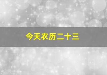 今天农历二十三