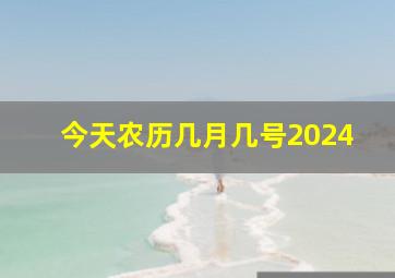 今天农历几月几号2024