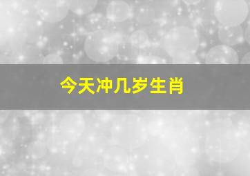 今天冲几岁生肖