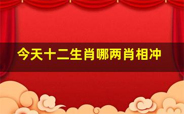 今天十二生肖哪两肖相冲