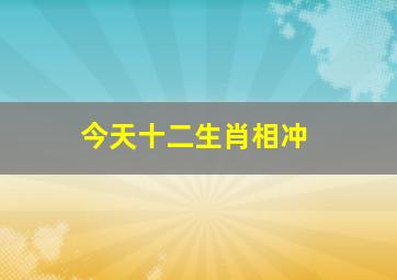 今天十二生肖相冲