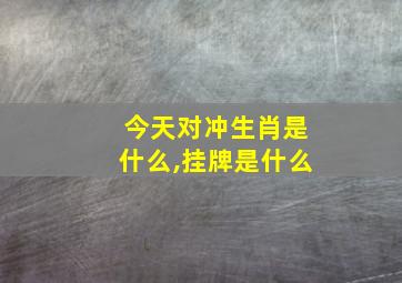 今天对冲生肖是什么,挂牌是什么