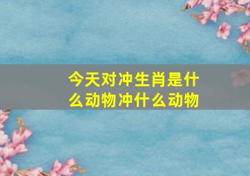 今天对冲生肖是什么动物冲什么动物