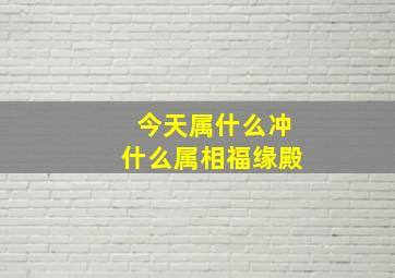 今天属什么冲什么属相福缘殿