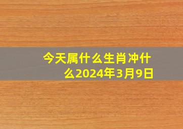 今天属什么生肖冲什么2024年3月9日