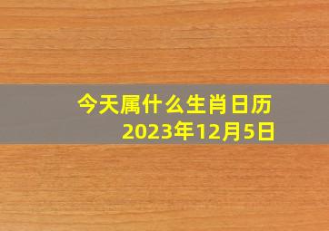 今天属什么生肖日历2023年12月5日