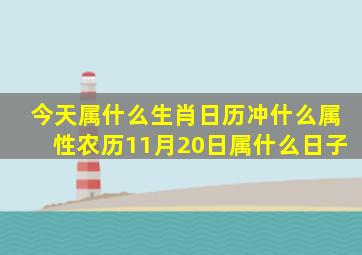 今天属什么生肖日历冲什么属性农历11月20日属什么日子