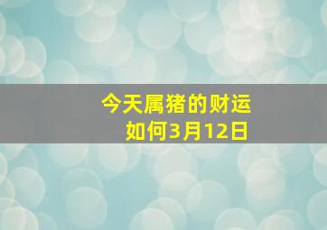 今天属猪的财运如何3月12日