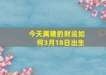 今天属猪的财运如何3月18日出生