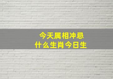 今天属相冲忌什么生肖今日生