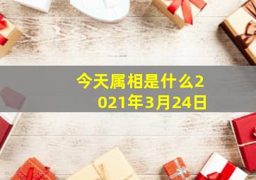 今天属相是什么2021年3月24日