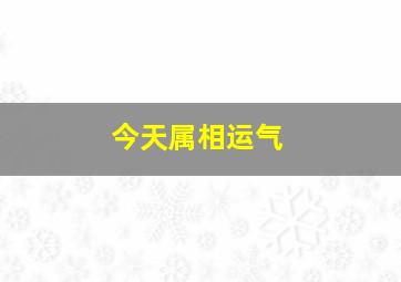 今天属相运气