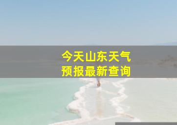 今天山东天气预报最新查询