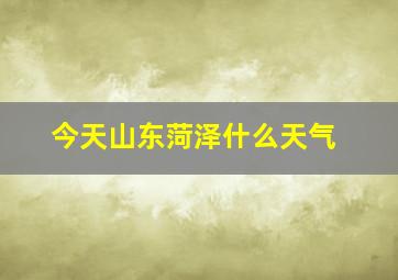 今天山东菏泽什么天气