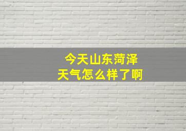 今天山东菏泽天气怎么样了啊