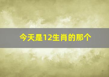 今天是12生肖的那个