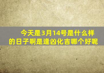 今天是3月14号是什么样的日子啊是逢凶化吉哪个好呢