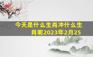 今天是什么生肖冲什么生肖呢2023年2月25