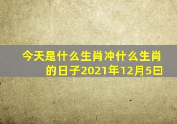 今天是什么生肖冲什么生肖的日子2021年12月5曰