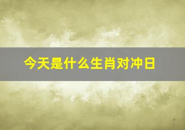 今天是什么生肖对冲日