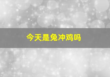 今天是兔冲鸡吗