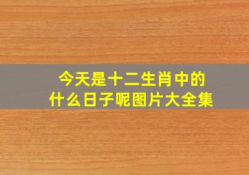 今天是十二生肖中的什么日子呢图片大全集