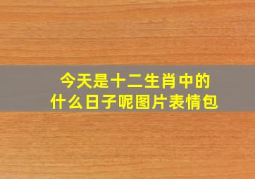 今天是十二生肖中的什么日子呢图片表情包