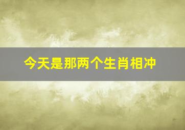 今天是那两个生肖相冲