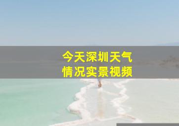 今天深圳天气情况实景视频