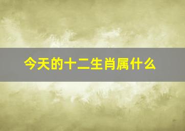 今天的十二生肖属什么