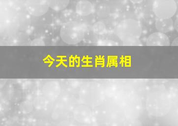 今天的生肖属相