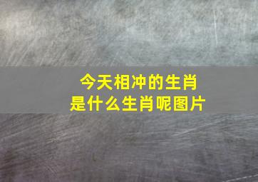 今天相冲的生肖是什么生肖呢图片