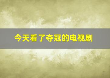 今天看了夺冠的电视剧