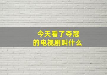 今天看了夺冠的电视剧叫什么