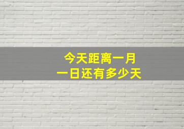 今天距离一月一日还有多少天