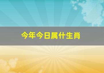 今年今日属什生肖