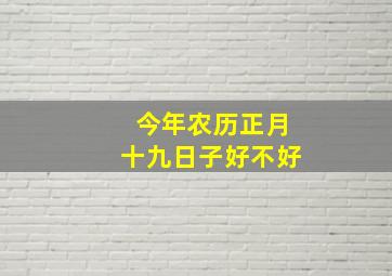 今年农历正月十九日子好不好