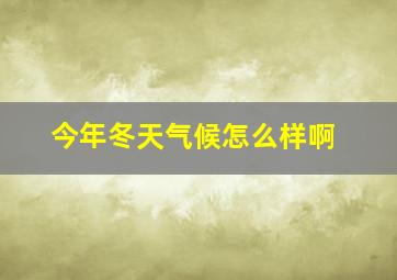 今年冬天气候怎么样啊