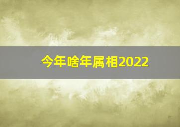 今年啥年属相2022