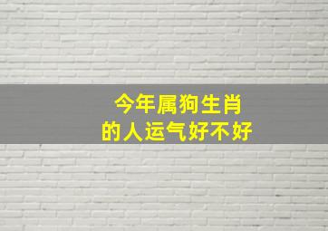 今年属狗生肖的人运气好不好