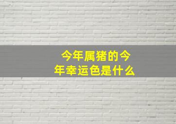 今年属猪的今年幸运色是什么