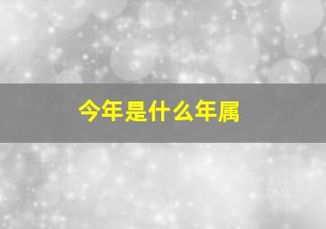 今年是什么年属