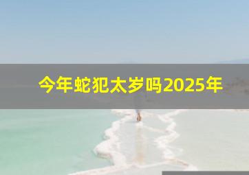 今年蛇犯太岁吗2025年