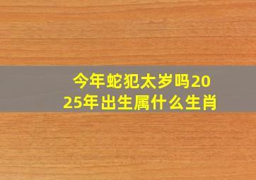 今年蛇犯太岁吗2025年出生属什么生肖