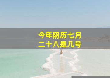 今年阴历七月二十八是几号