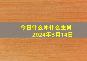 今日什么冲什么生肖2024年3月14日