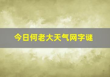 今日何老大天气网字谜