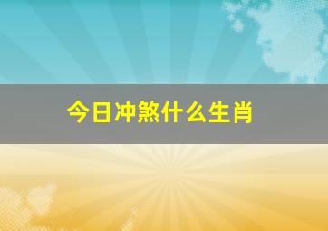 今日冲煞什么生肖