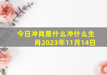 今日冲肖是什么冲什么生肖2023年11月14日